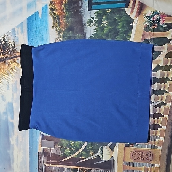 BCBGMaxazria Blue Pencil Skirt Size Small NWT - Picture 4 of 4